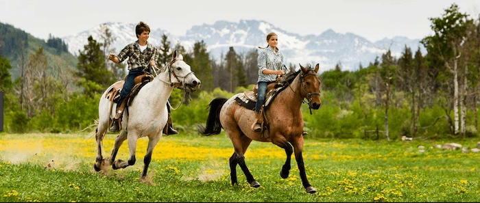Confident plus-size woman riding Stamford a horse through a field with a smile on her face.